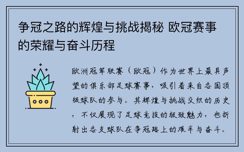 争冠之路的辉煌与挑战揭秘 欧冠赛事的荣耀与奋斗历程